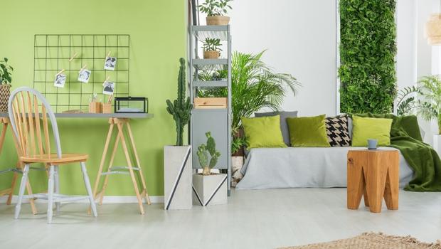 Go Green - indoorplants in homea